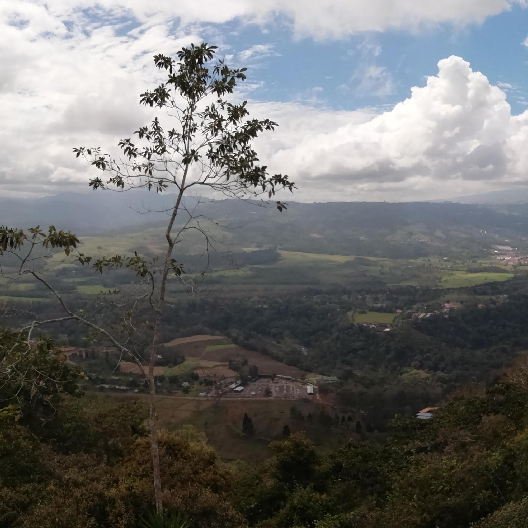 Pochotel Turrialba Exterior photo