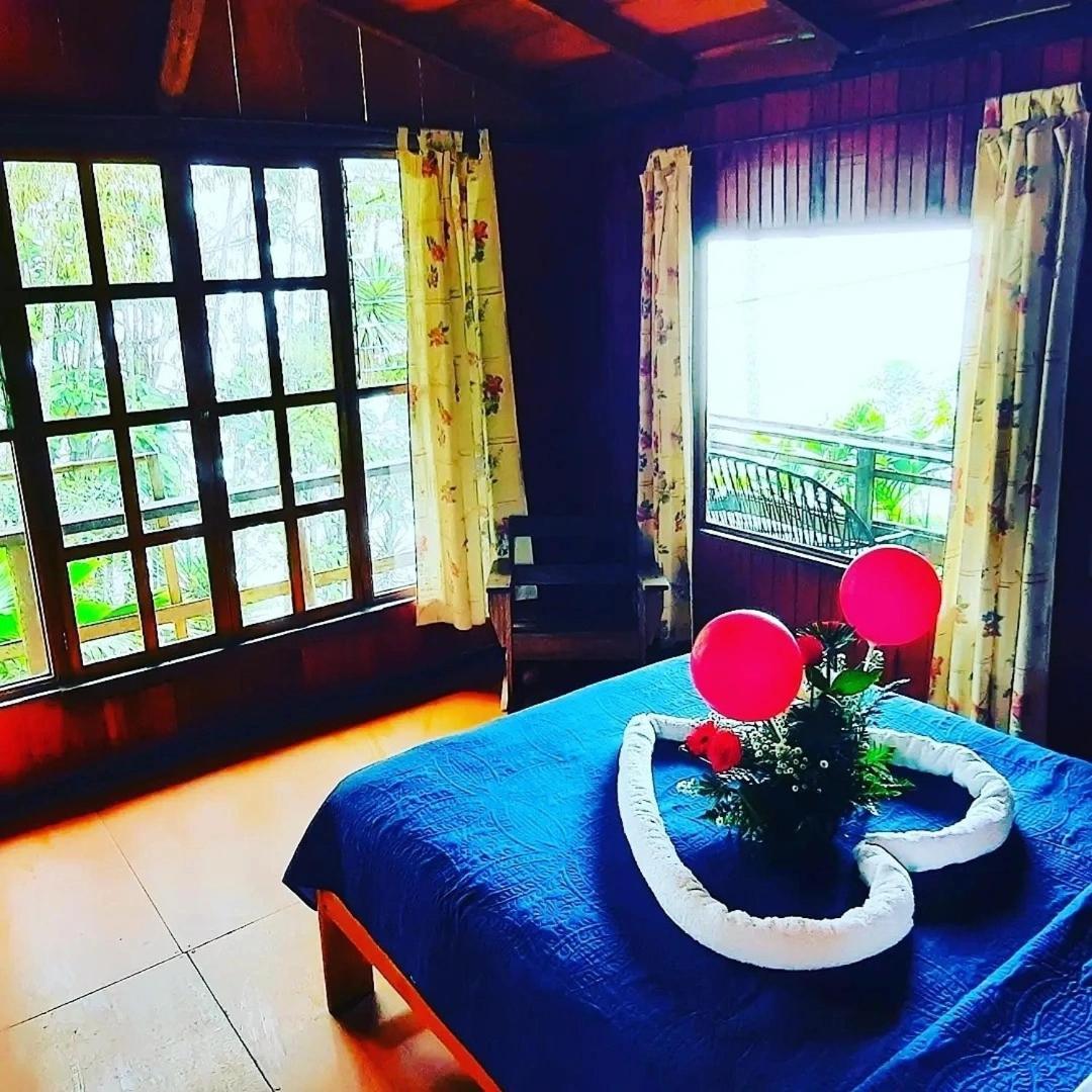 Pochotel Turrialba Room photo