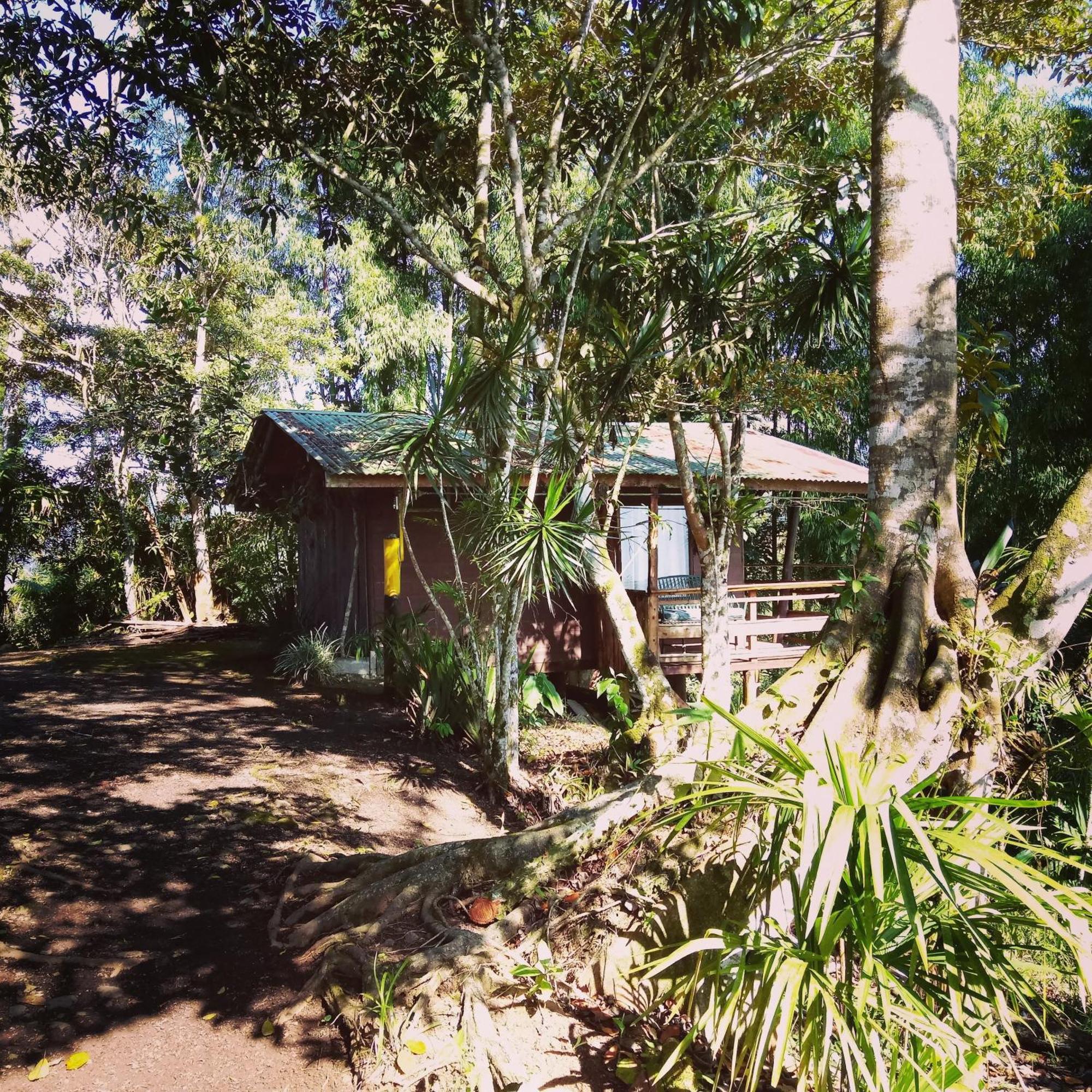 Pochotel Turrialba Room photo