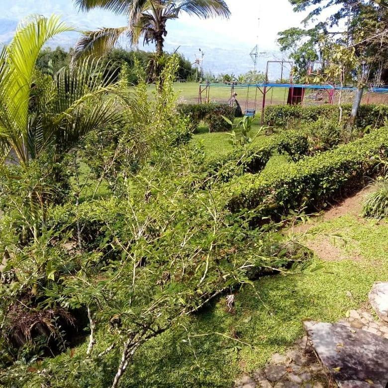Pochotel Turrialba Exterior photo