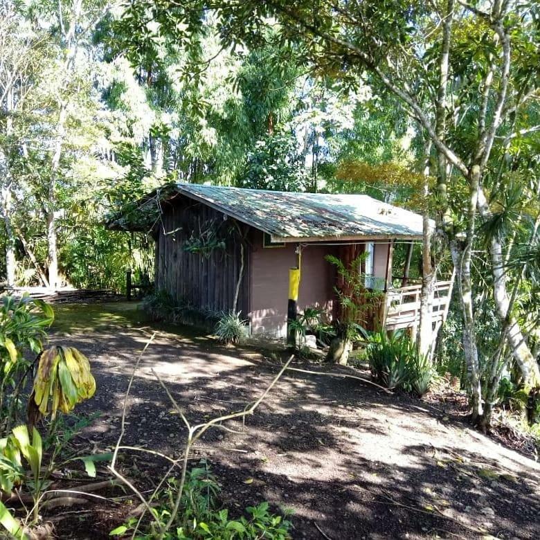 Pochotel Turrialba Exterior photo